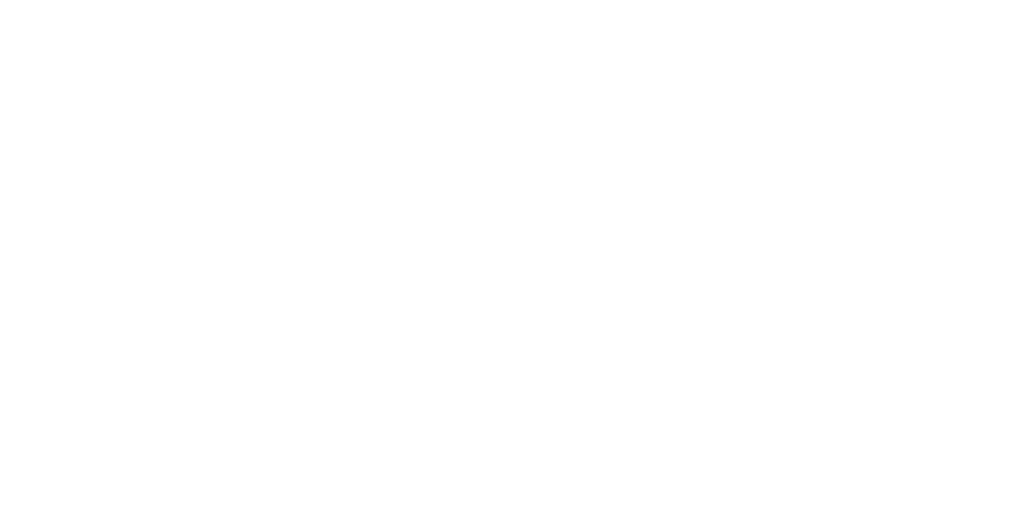 CrossFit 13 Stars